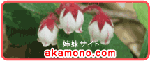 oTCg akamono.com